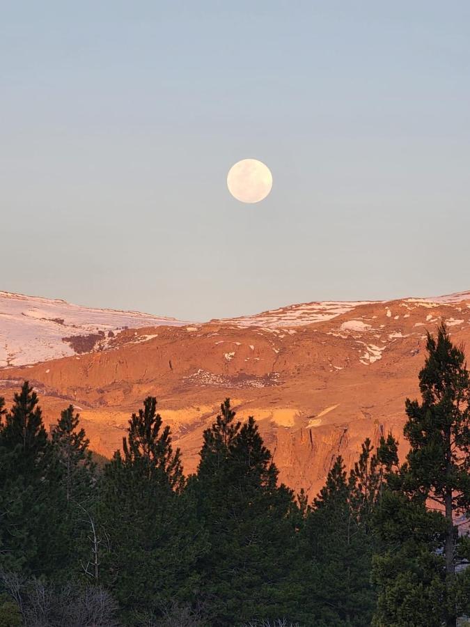 Aiken Sma Suite San Martín de los Andes Eksteriør billede